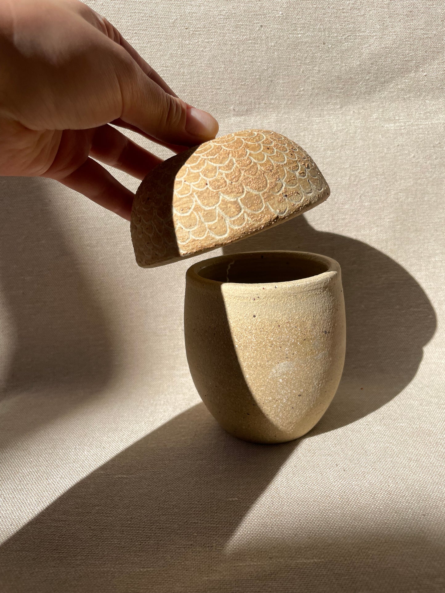 donguri acorn jar