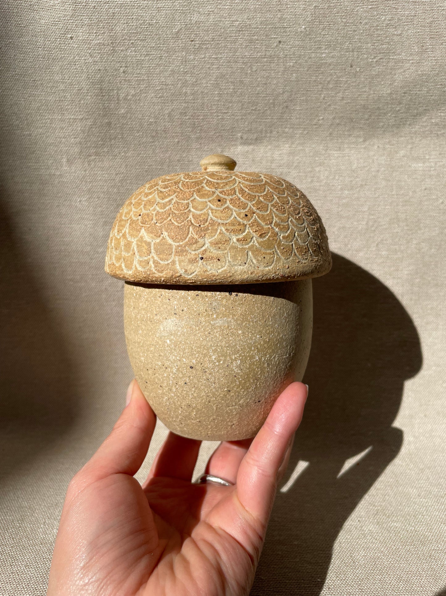 donguri acorn jar