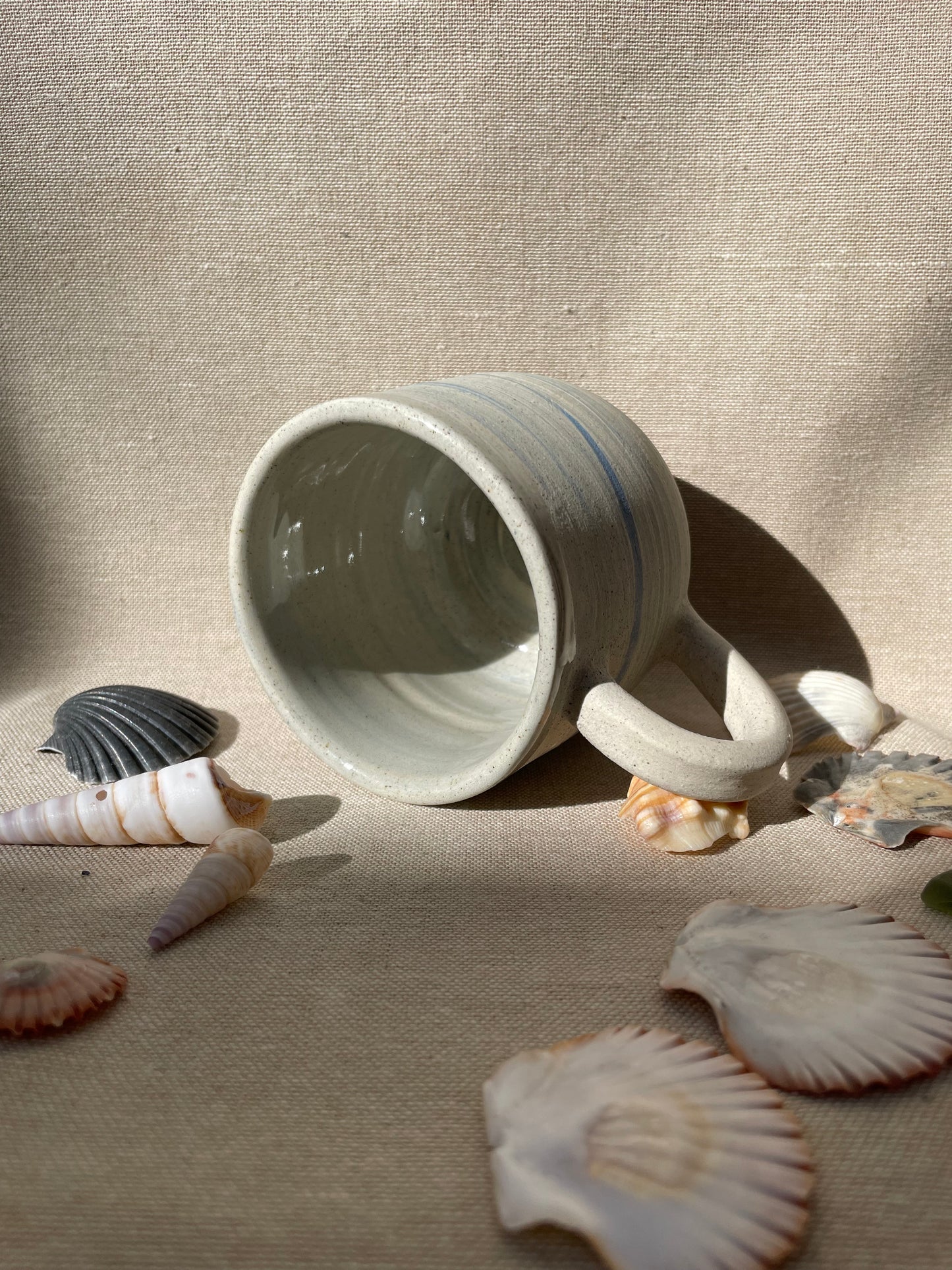 box jellyfish mug