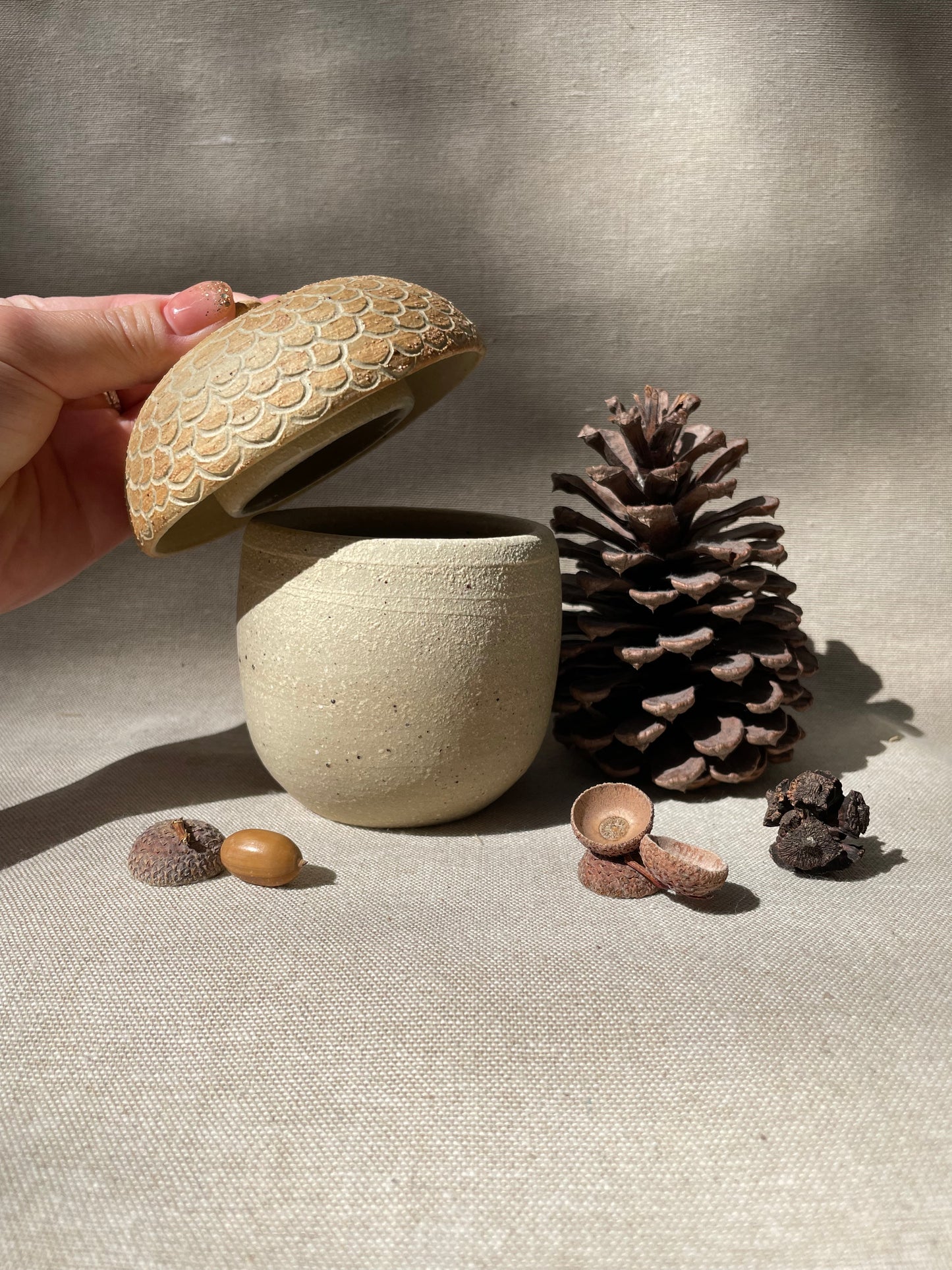 donguri acorn jar