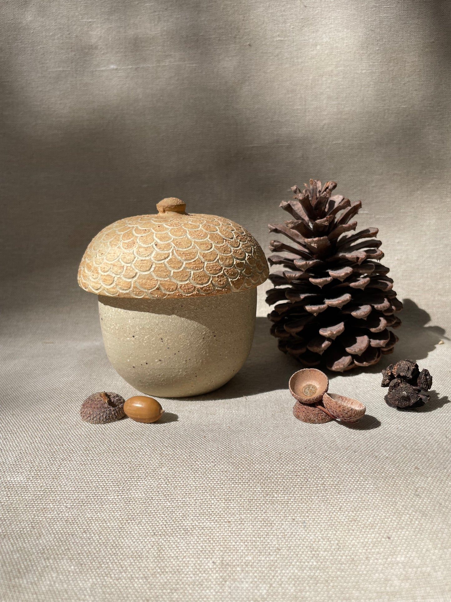 donguri acorn jar