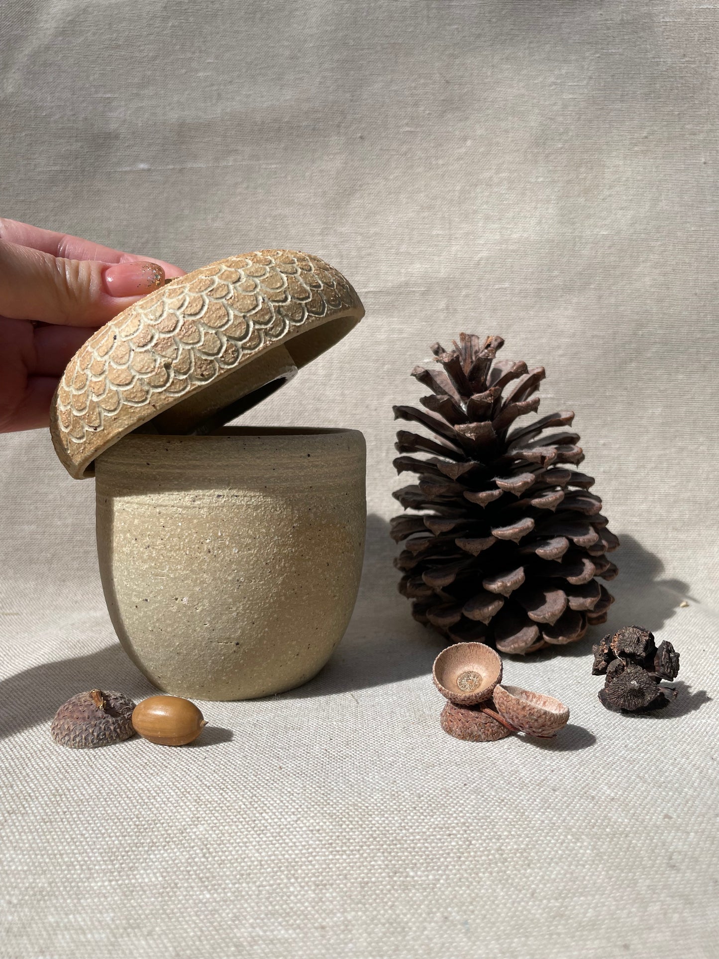 donguri acorn jar